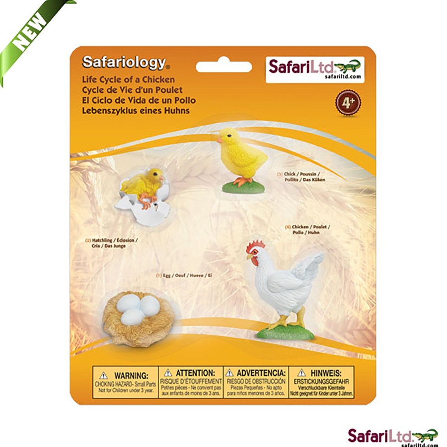 Role Play Educational Toys | Safari Life Cycle Of A Chicken