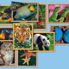 Games And Puzzles Educational Toys | Animals Up Close Puzzle Set