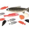 Role Play Educational Toys | Bag Of 12 Fish