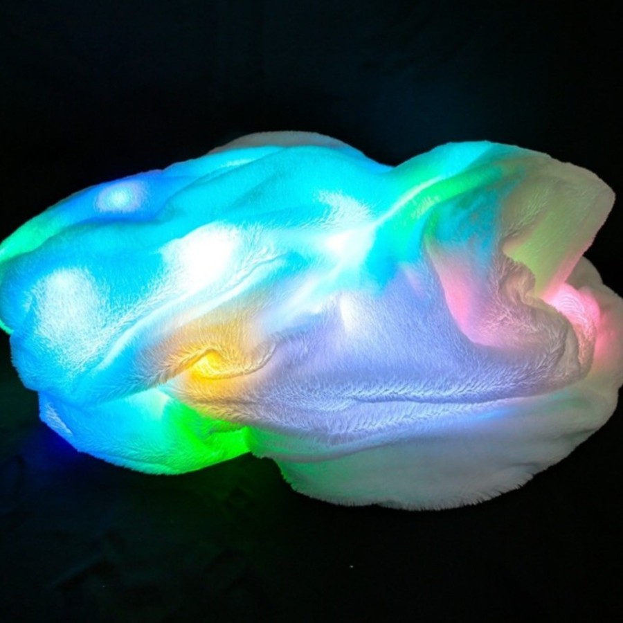 Down Syndrome Educational Toys | Led Light Blanket