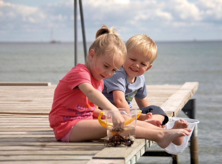 Role Play Educational Toys | Set Of 3 Transparent Buckets