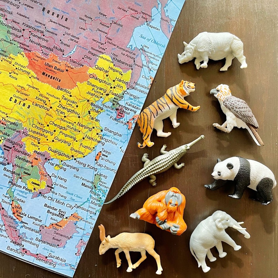 Role Play Educational Toys | Safari Asian Animal Toob